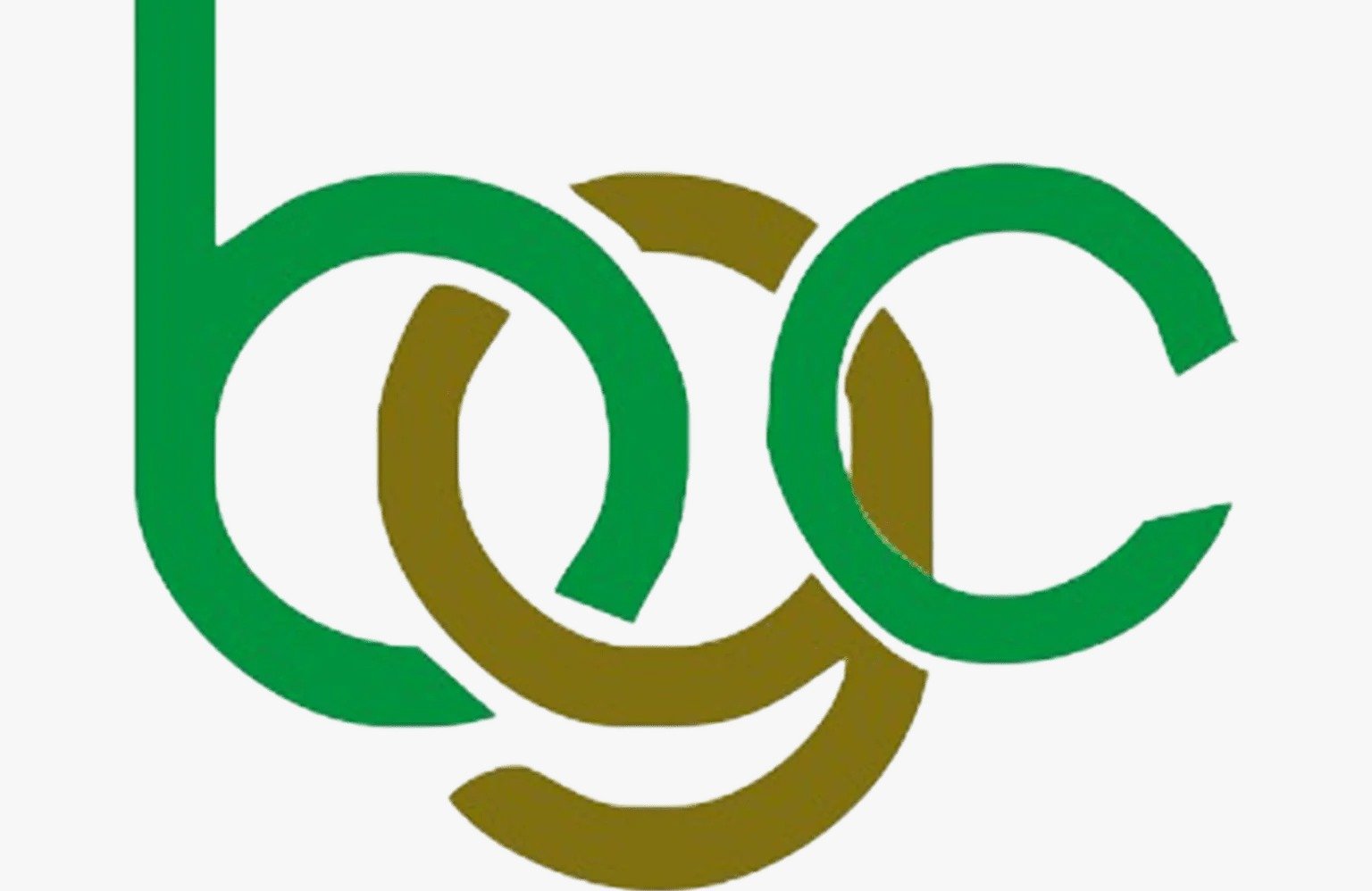 Partner 20